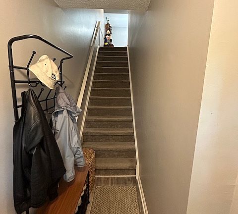 Foyer/Staircase to main level
