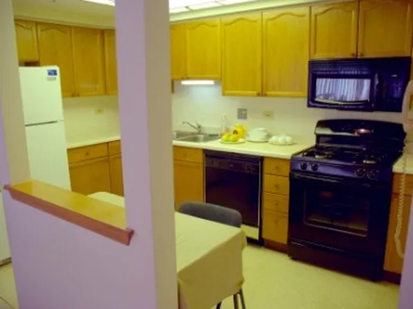 1653 S River Rd Unit 306, Des Plaines, IL 60018