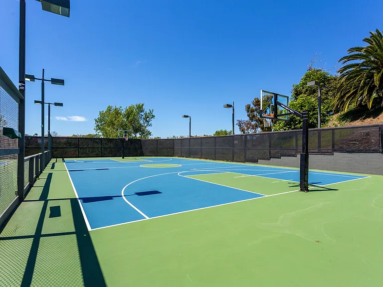 Basketball Court