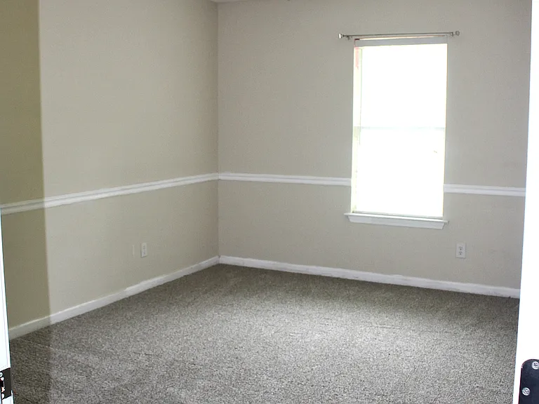 100 Tyger Meadow Rd — Photo 6