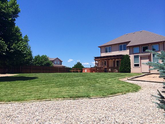 backyard view
