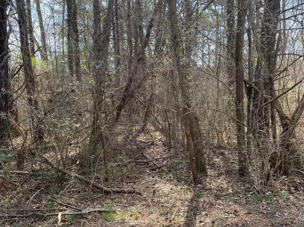 LOT 1057 Palisades Ct, Burnside, KY 42519