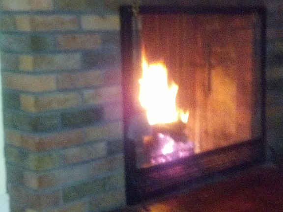 Wood burning fireplace