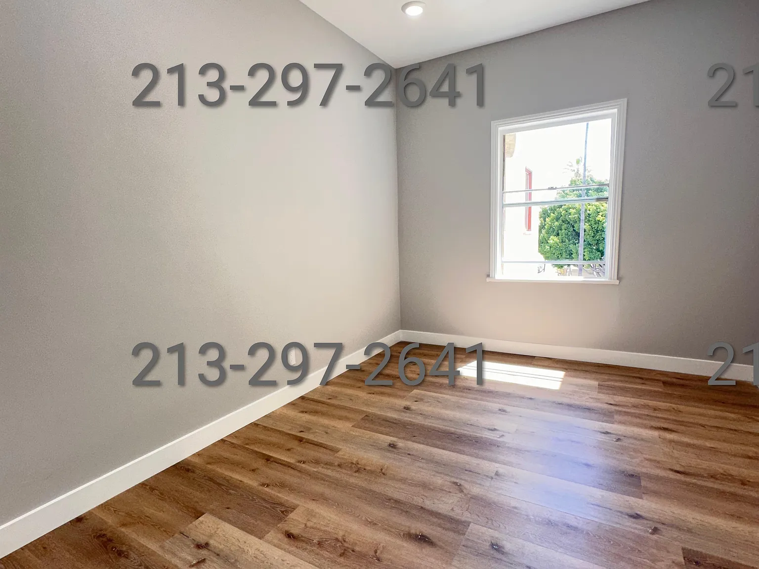 Studio, 350 sqft, $1,100 — Photo 3