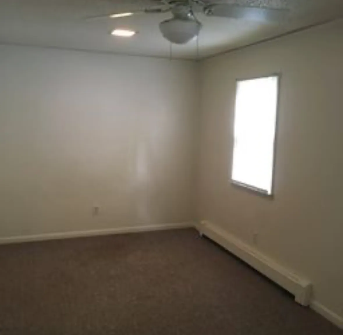 1 bed, 550 sqft, $925 — Photo 3