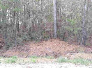 S Of Trb 1e Highway South Hwy #701, Conway, SC 29527