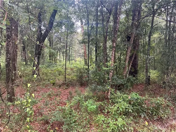 Lots 1a & 12a Sq #8, Abita Springs, LA 70420