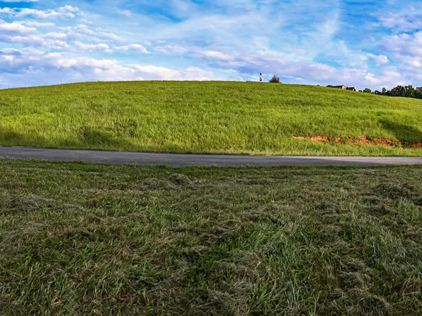 47 Mill Dr, Decatur, TN 37322