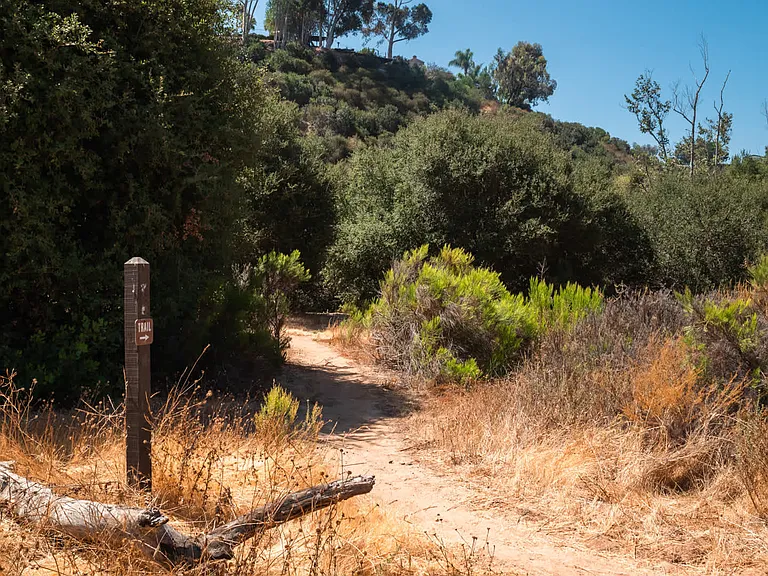 Go for a Hike on Tecolote Canyon Trail