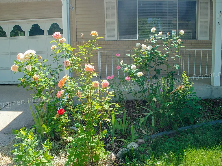 1228 Southridge Dr — Photo 18