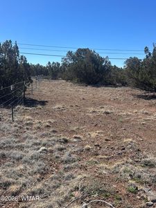 8489 Rifle Dr, Show Low, AZ, 85901