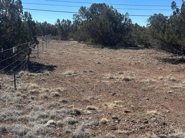 8489 Rifle Dr, Show Low, AZ 85901