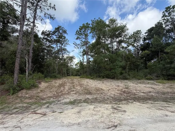 0 Idlewood Dr Lot 7, Webster, FL 33597