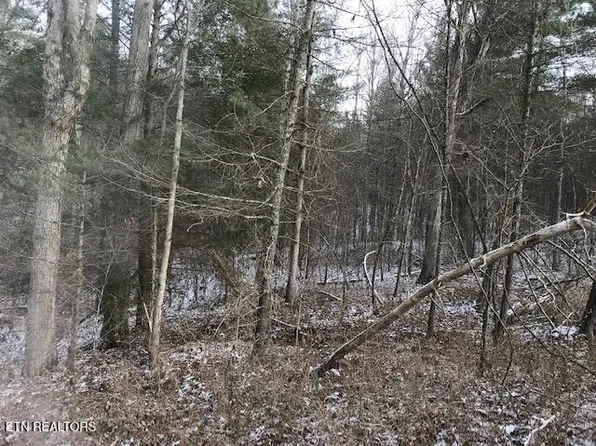 109-004 White Oak Creek Rd, Robbins, TN 37852