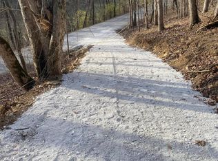 0 Holts Creek Rd, Foster, KY 41043