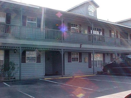 1st image of 313 Dirksen Dr APT B10