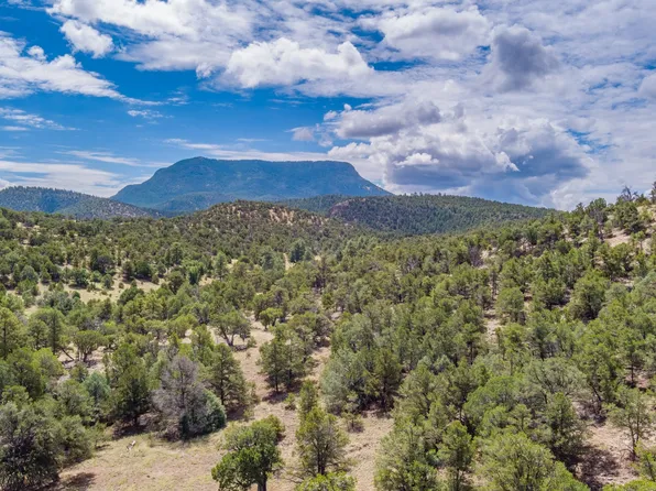 472B Ed Jones Rd, Pie Town, NM 87827