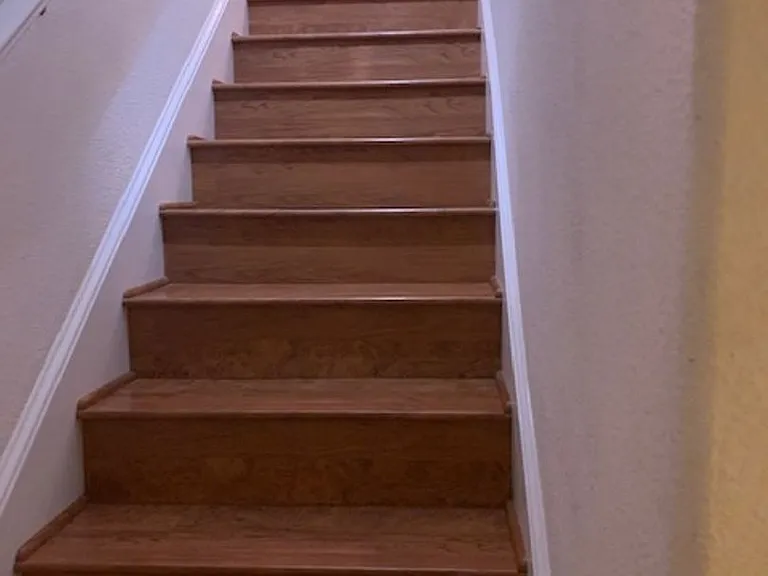 838 Tarragon Ln — Photo 4