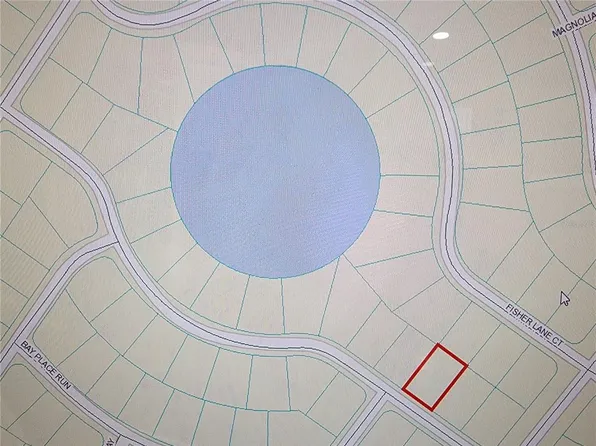 Bay Trak Lot 21, Ocklawaha, FL 32179