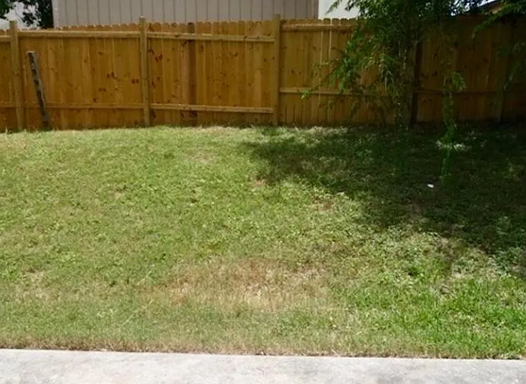 7422 Radford Trl — Photo 13