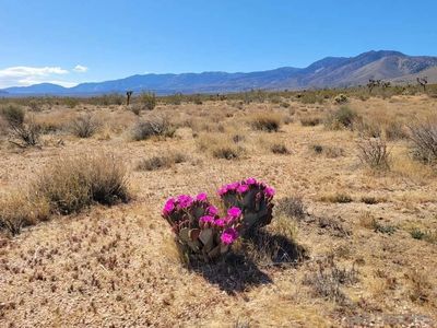 0 Joshua Rd Lot 1, Apple Valley, CA, 92308