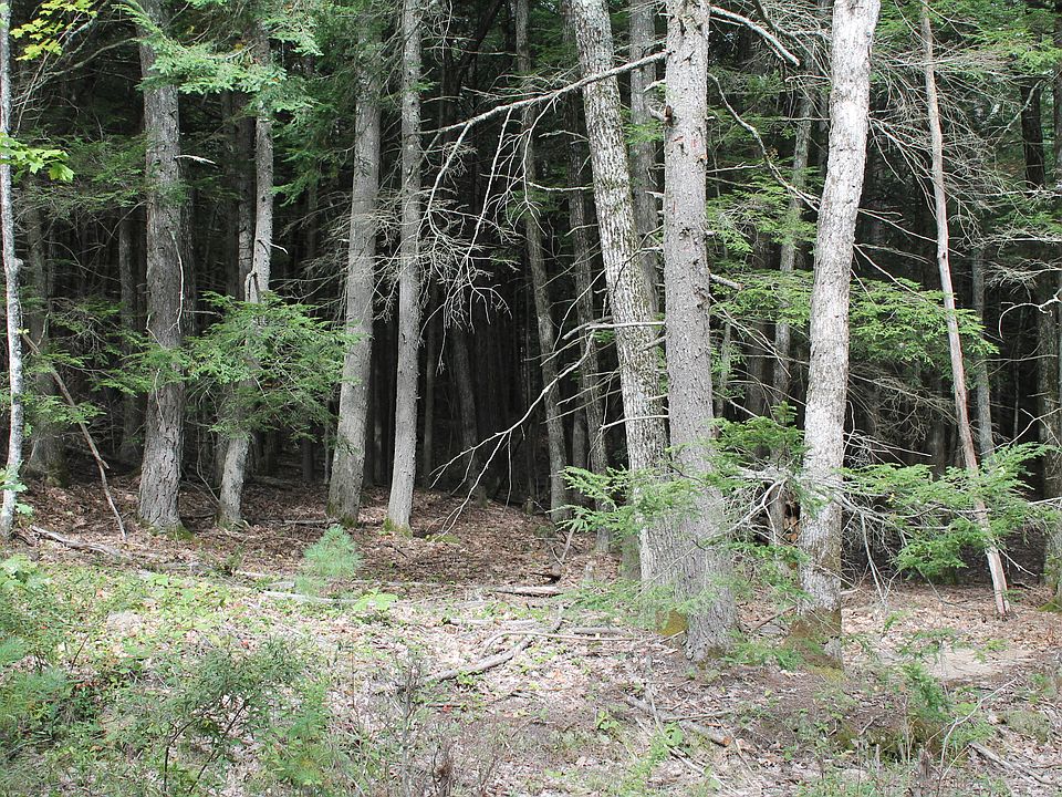 2nd image of 343 Cheney Woods Rd