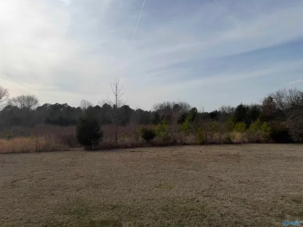 LOT 1 Pennylane, Decatur, AL 35601