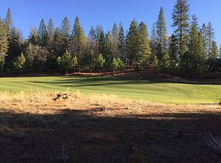 1721 The Point Rd, Meadow Vista, CA 95722