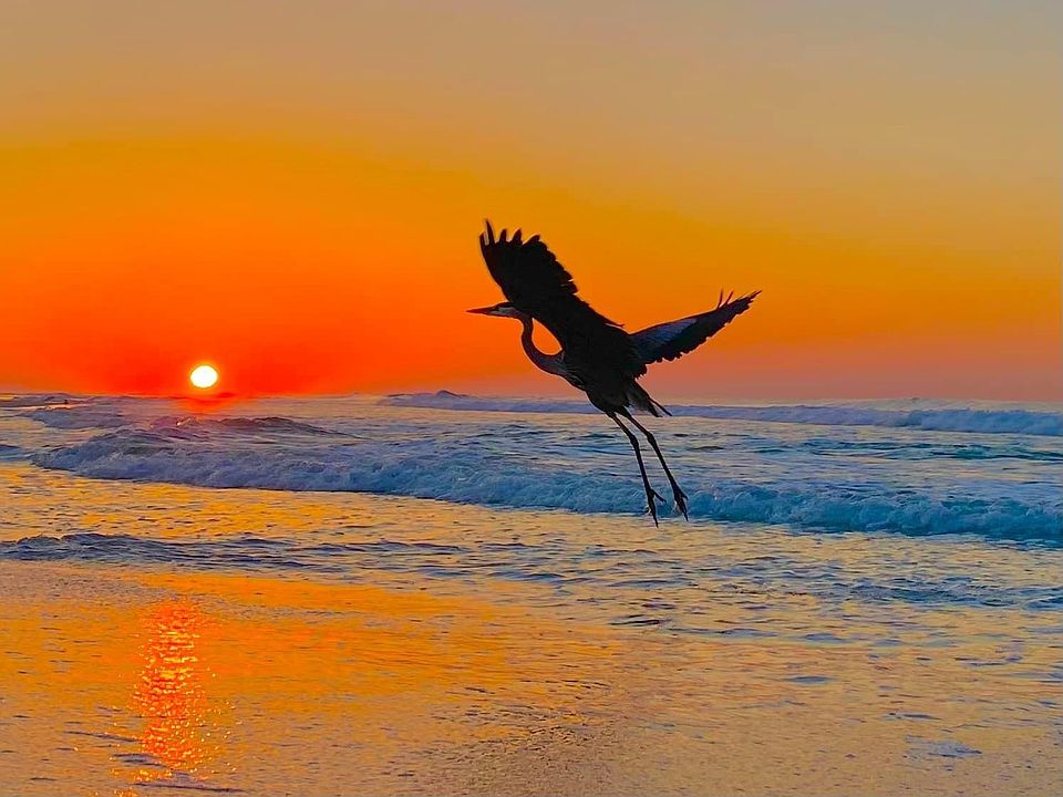 15 min from beach! beautiful water sunsets