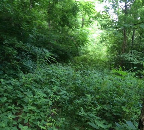 5th image of 00 Bowman Lane