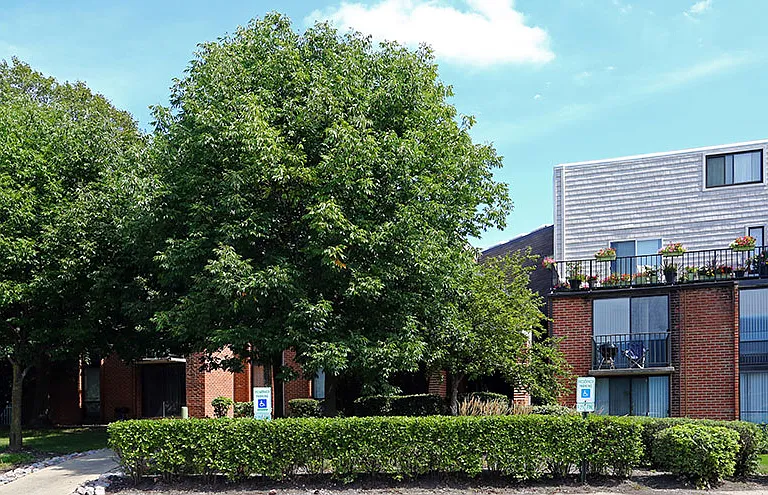 The Grove at Schaumburg Apartments — Photo 42