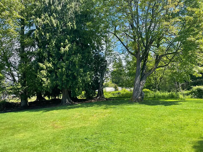 Mature trees provide shade, privacy, and a peaceful outdoor setting