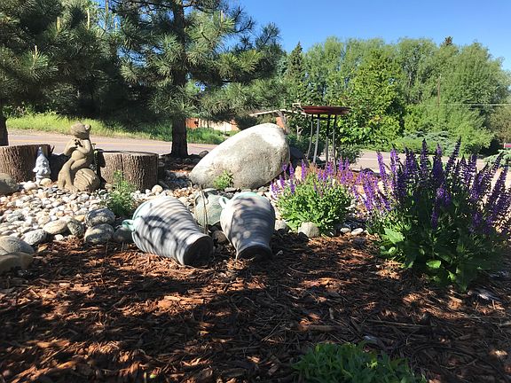 Front Garden in spring 