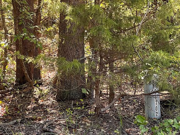 3rd image of 0 Dogwood Ln
