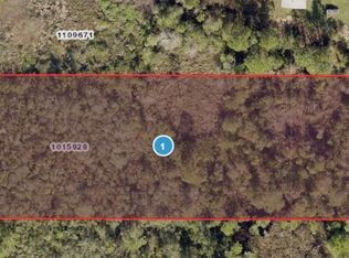 0 Cooter Pond Rd, Deland, FL 32720
