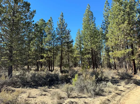 Oregon Pines Rd #Tl-600, Beatty, OR 97621