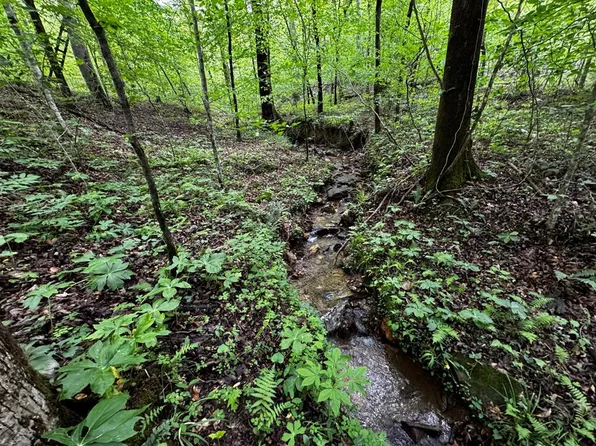 0 Fisher Creek Rd, Talking Rock, GA 30175