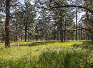 22584 Lightning Ridge Rd, Rapid City, SD 57702