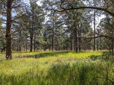 22584 Lightning Ridge Rd, Rapid City, SD, 57702