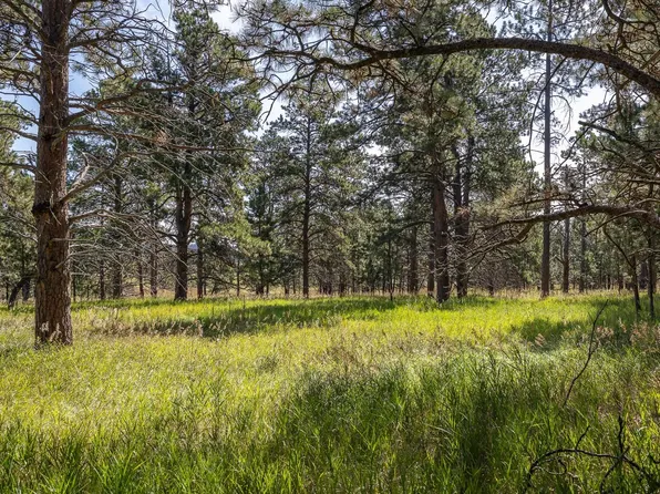 22584 Lightning Ridge Rd, Rapid City, SD 57702