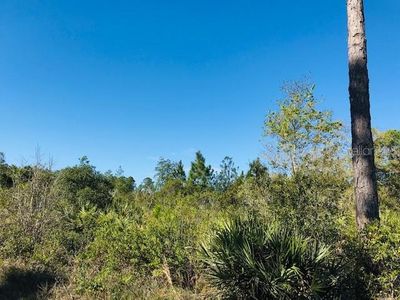 398 Black Lake Rd, Osteen, FL, 32764