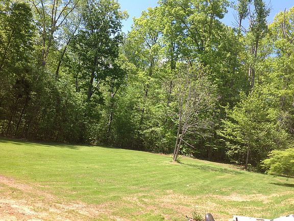 Partial image of back yard 