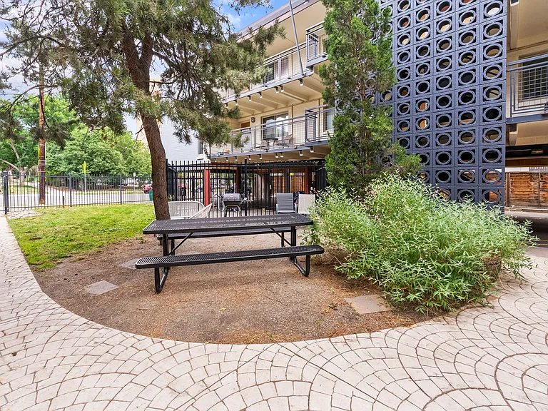 shared picnic table and grill