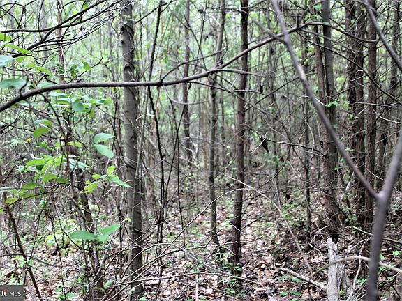 5th image of Woodland Shores Dr