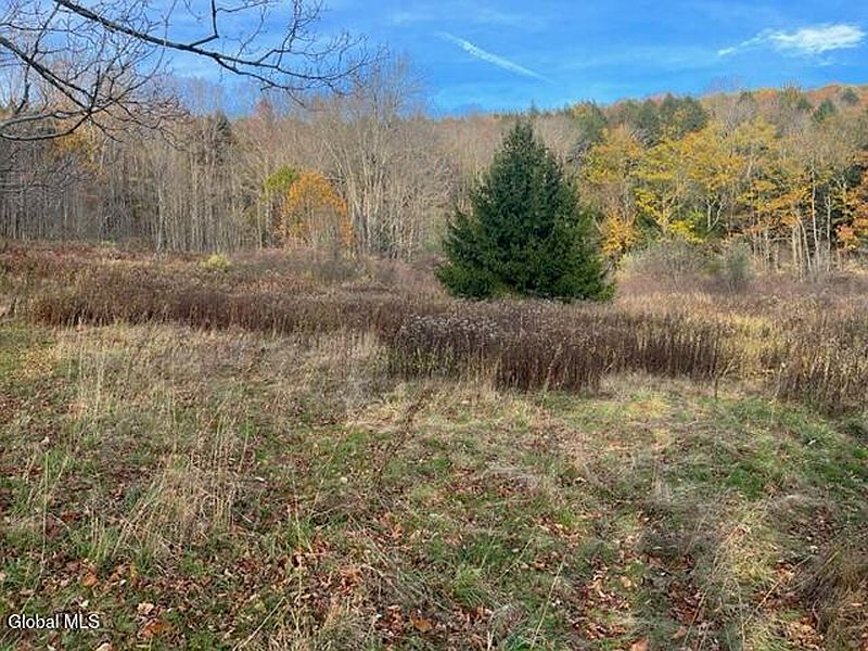 4th image of L8 Sawyer Hollow Road