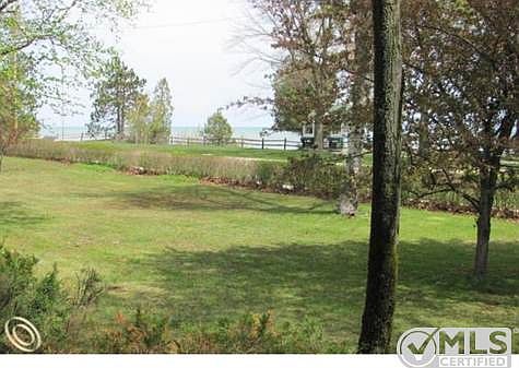 IMG_1292.JPG