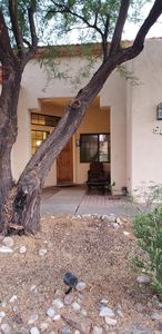 117 N Understory Ln, Tucson, AZ, 85748