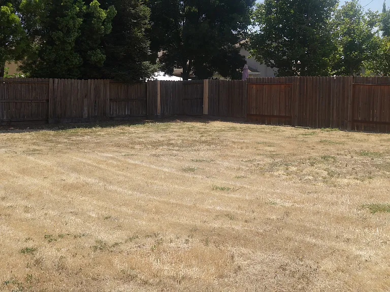 1380 Bamboo St — Photo 18
