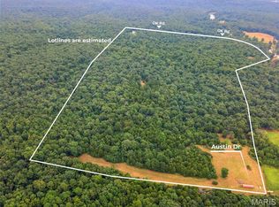 0 Austin Dr, Bonne Terre, MO 63628