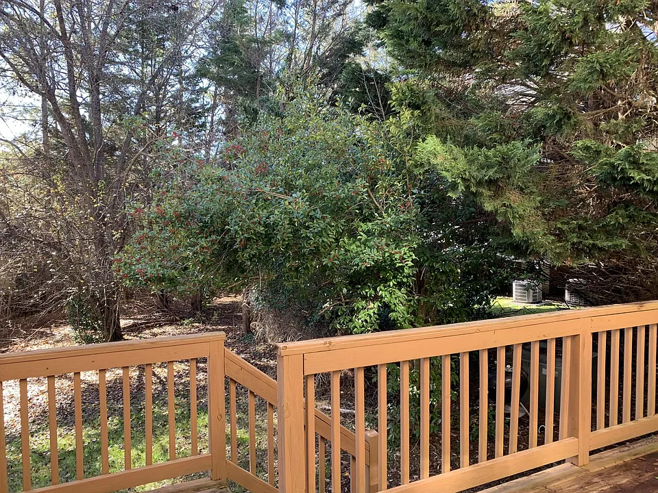 Deck_1